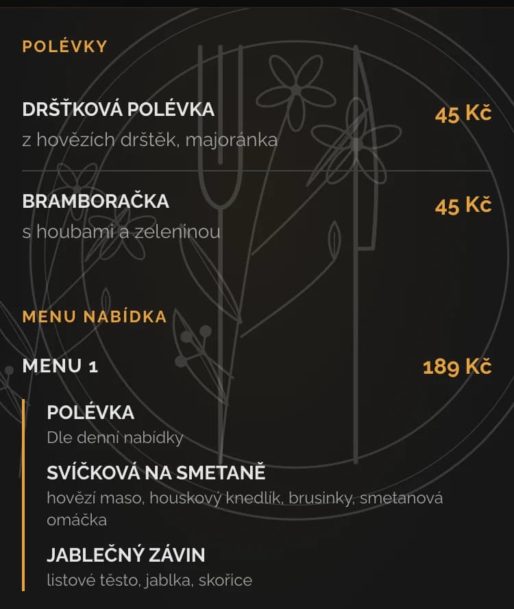 Denní menu